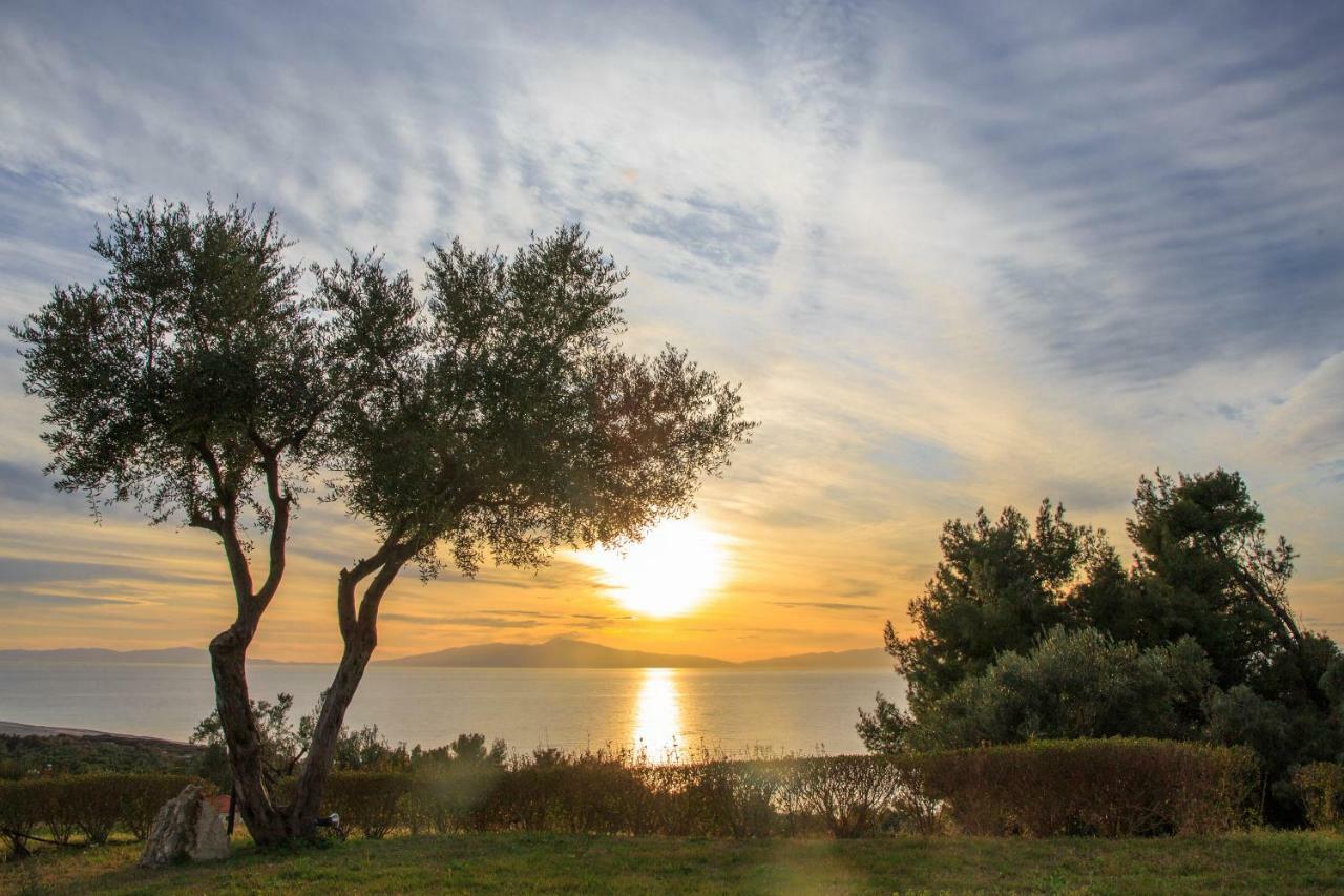 Blue Luxury Maison Ποσείδι Εξωτερικό φωτογραφία
